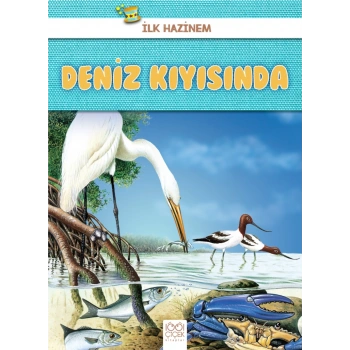 İlk Hazinem - Deniz Kıyısında
