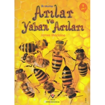 İlk Okuma - Arılar ve Yaban Arıları