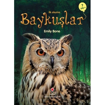 İlk Okuma - Baykuşlar