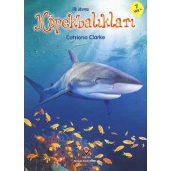 İlk Okuma - Köpekbalıkları