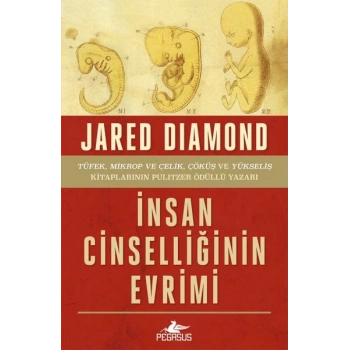 İnsan Cinselliğinin Evrimi - Ciltsiz