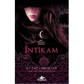 İntikam / Bir Gece Evi Romanı