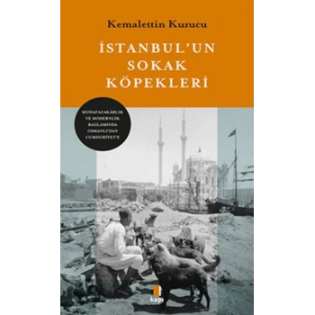 İstanbul’un Sokak Köpekleri