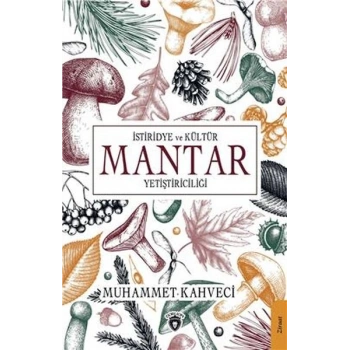 İstiridye ve Kültür Mantarı Yetiştiriciliği