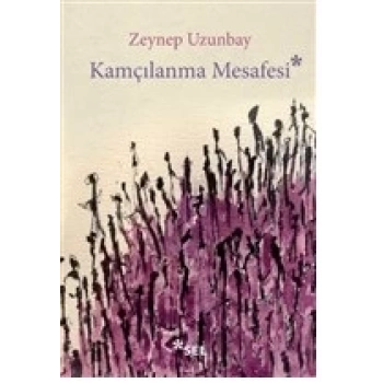 Kamçılanma Mesafesi