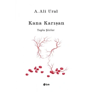 Kana Karışan (Ciltli)