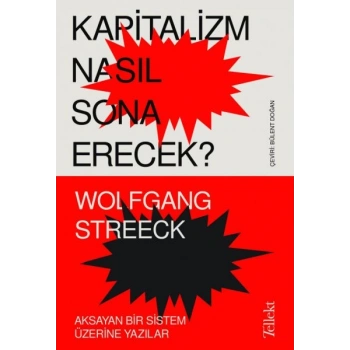 Kapitalizm Nasıl Sona Erecek ? - Aksayan Bir Sistem Üzerine Yazılar