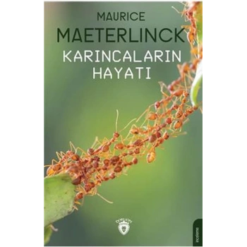 Karıncaların Hayatı