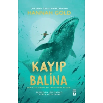 Kayıp Balina