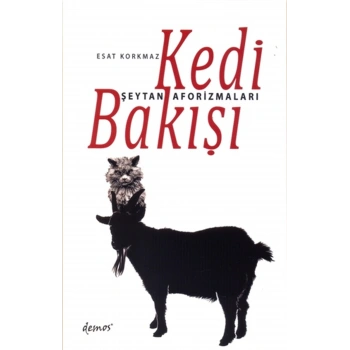 Kedi Bakışı
