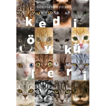 Kedi Öyküleri