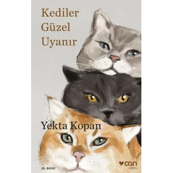 Kediler Güzel Uyanır