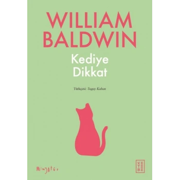 Kediye Dikkat