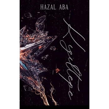 Kızıltepe – Mahalle Serisi 1 (Ciltli)