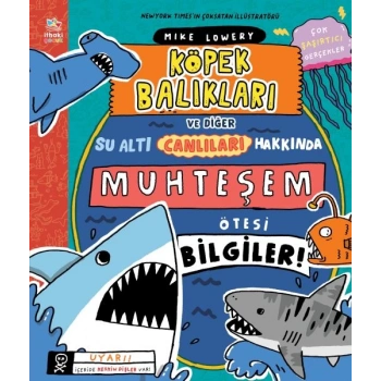 Köpek Balıkları ve Diğer Su Altı Canlıları Hakkında Muhteşem Ötesi Bilgiler!