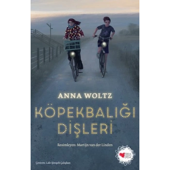 Köpekbalığı Dişleri