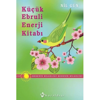 Küçük Ebruli Enerji Kitabı