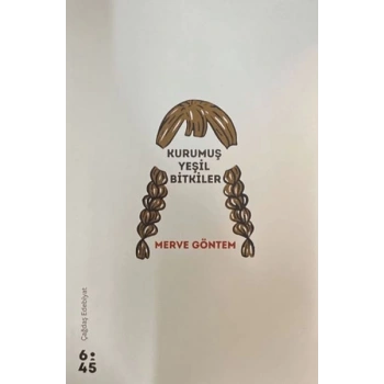 Kurumuş Yeşil Bitkiler