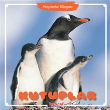 Kutuplar - Hayvanlar Dünyası