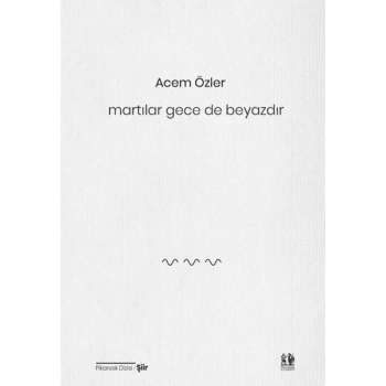 Martılar Gece de Beyazdır