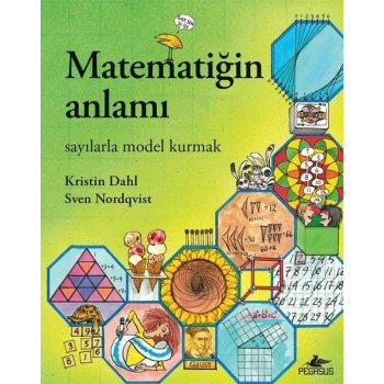 Matematiğin Anlamı - Sayılarla Model Kurmak