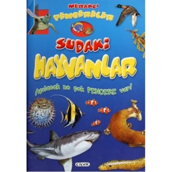 Meraklı Pencereler Sudaki Hayvanlar