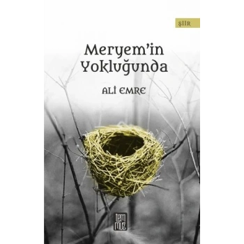 Meryemin Yokluğunda