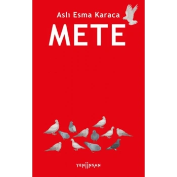Mete