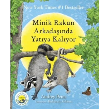 Minik Rakun Arkadaşında Yatıya Kalıyor