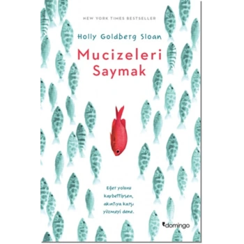Mucizeleri Saymak
