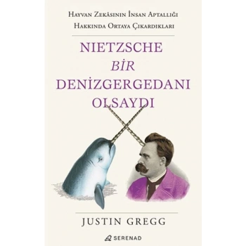 Nietzsche Bir Denizgergedanı Olsaydı