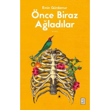 Önce Biraz Ağladılar