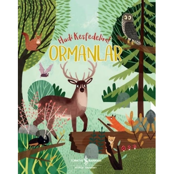 Ormanlar - Hadi Keşfedelim!