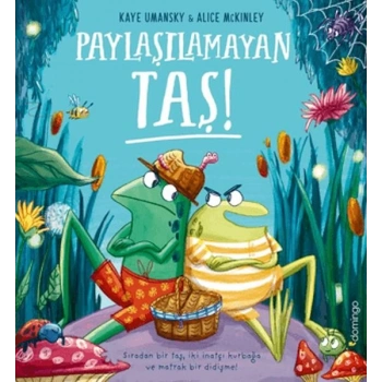 Paylaşılamayan Taş