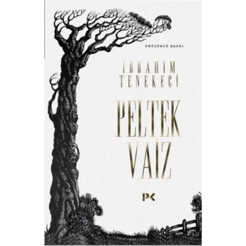 Peltek Vaiz