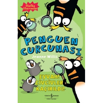 Penguen Curcunası / Eyvah Civcivler Kaçırıldı