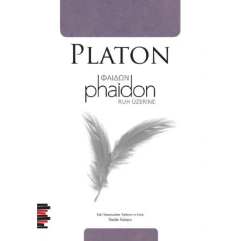 Phaidon - Ruh Üzerine