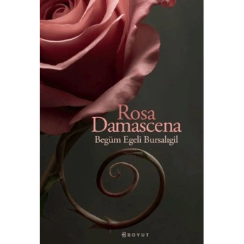 Rosa Damascena (Damask Gülü)