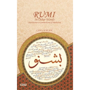 Rumi In Other Words Introduction to Commentaries of Mathnawi