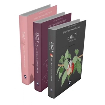Rüzgârın Kızı Emily Serisi (3 Kitap)