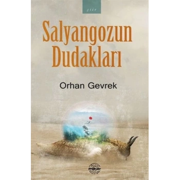 Salyangozun Dudakları
