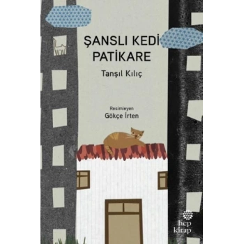 Şanslı Kedi Patikare