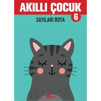 Sayıları Boya - Akıllı Çocuk 6