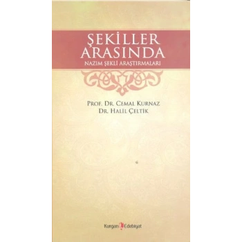 Şekiller Arasında Nazım Şekli Araştırmaları