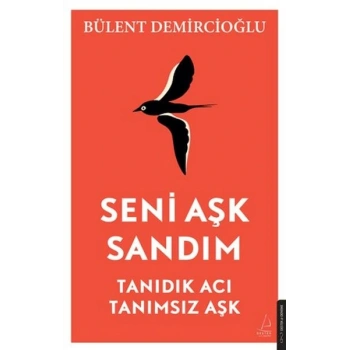 Seni Aşk Sandım