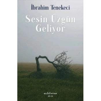 Sesin Üzgün Geliyor