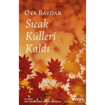 Sıcak Külleri Kaldı