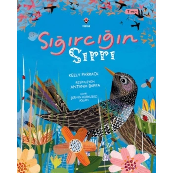 Sığırcığın Sırrı