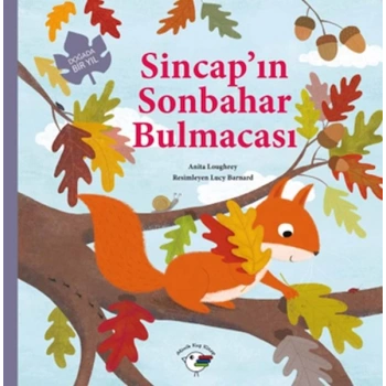 Sincap’ın Sonbahar Bulmacası – Doğada Bir Yıl