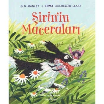 Şirin’in Maceraları